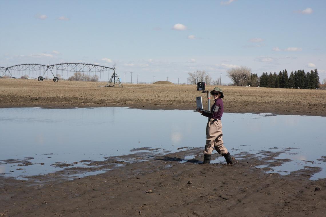 UCalgary hydrology grad student Alex Hughes wades through the mud to download water measurements to her laptop at a GRIP field site in a pond, or depression, in a farmer’s field outside of Lethbridge on April 23.