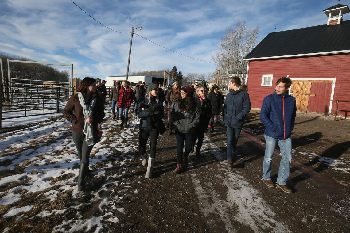Students' first tour of the extensive W.A. Ranches property included cattle processing facilities and outbuildings.
