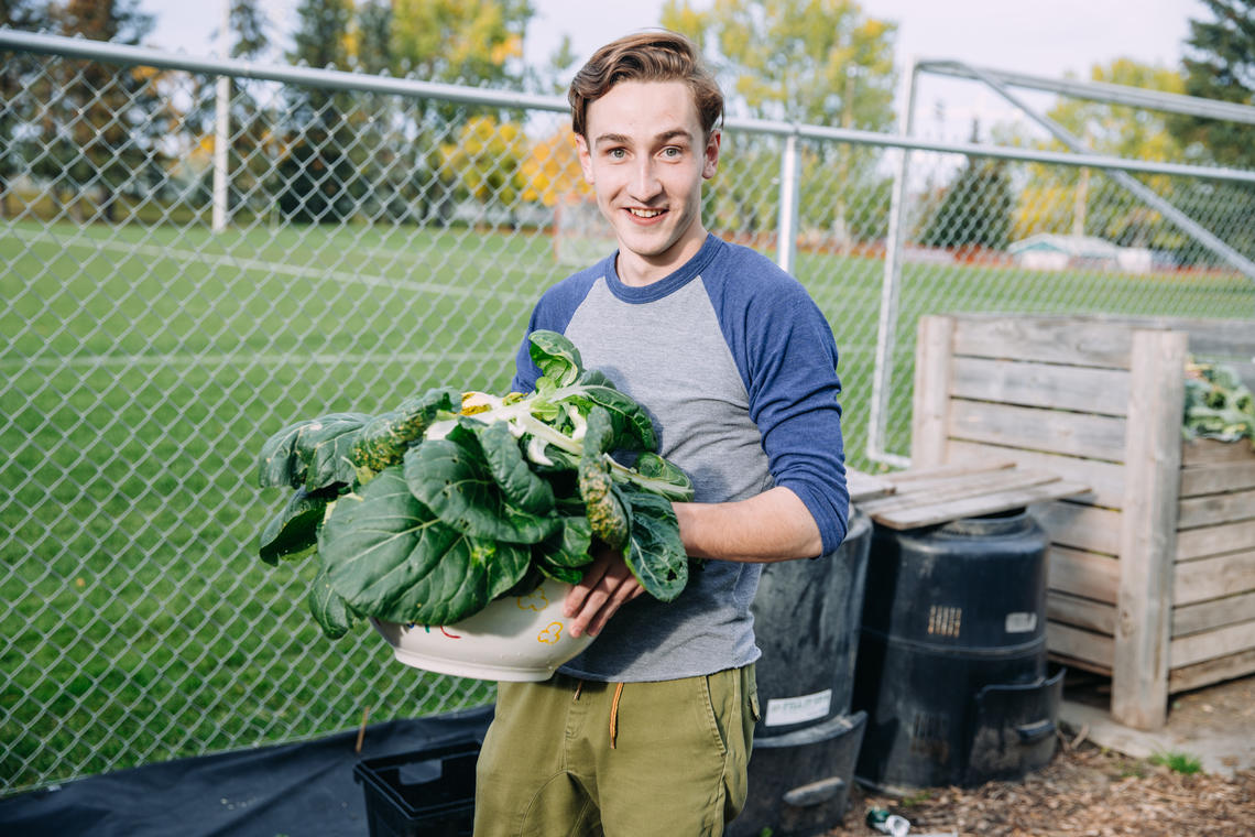 Francis Mayer, treasurer and garden visionary for the Community Garden Club, collects fresh bok choy for Thursgarden dinners and other club events. 