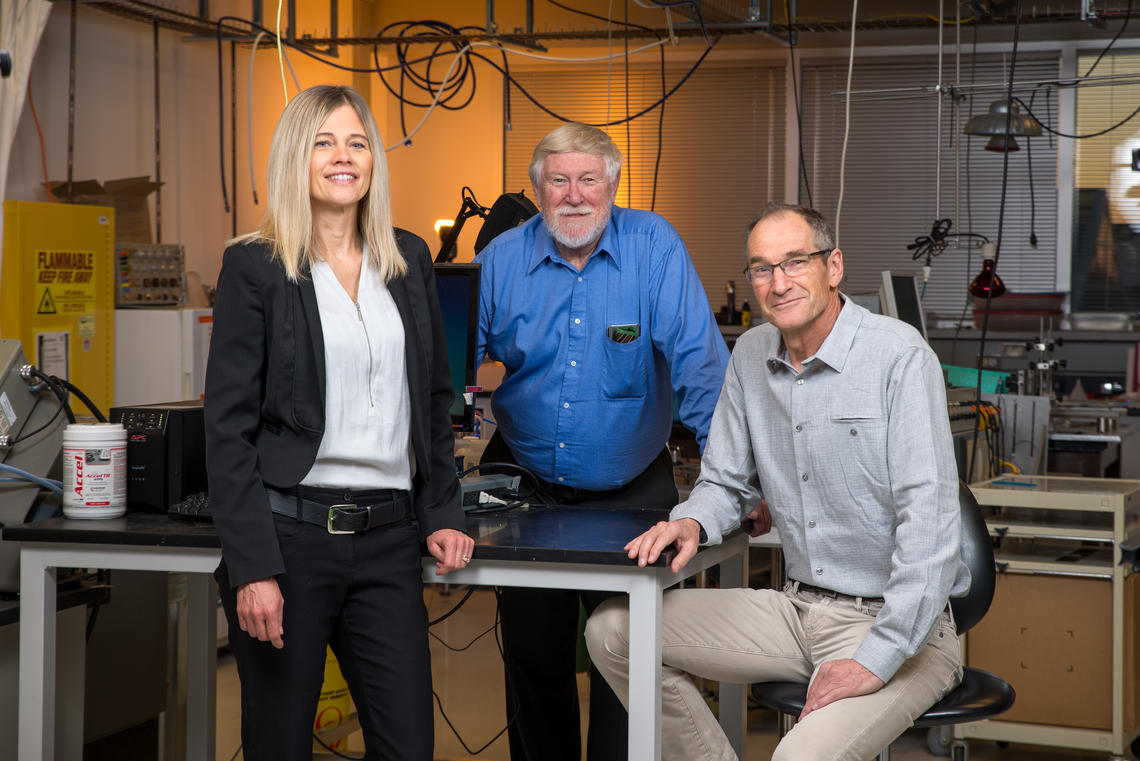 Raylene Reimer, David Hart and Walter Herzog are working together to improve mobility in people with obesity and osteoarthritis. 