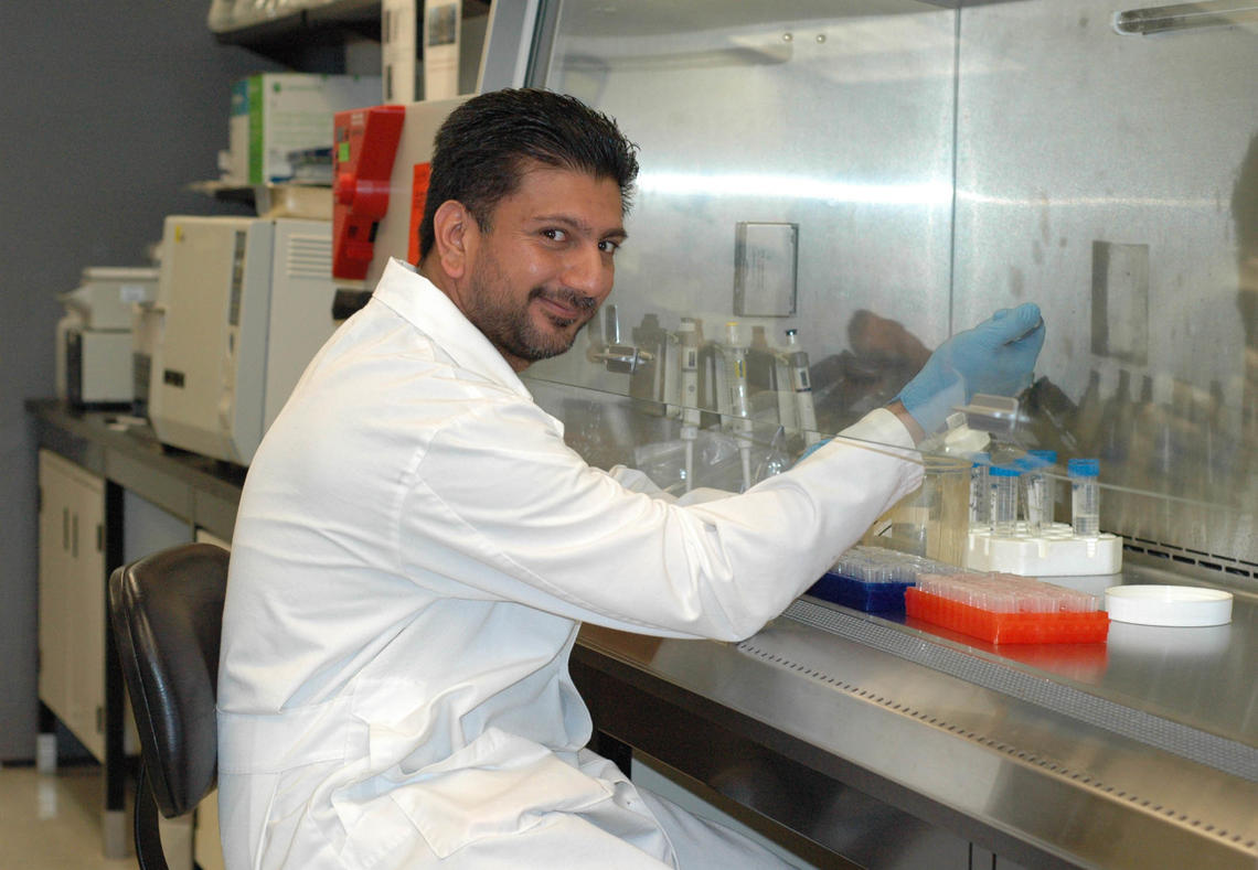 Sohail Naushad discovered a new species of staphylococcus in a sample of cow’s milk while researching bovine mastitis. Photo by Jeroen De Buck.