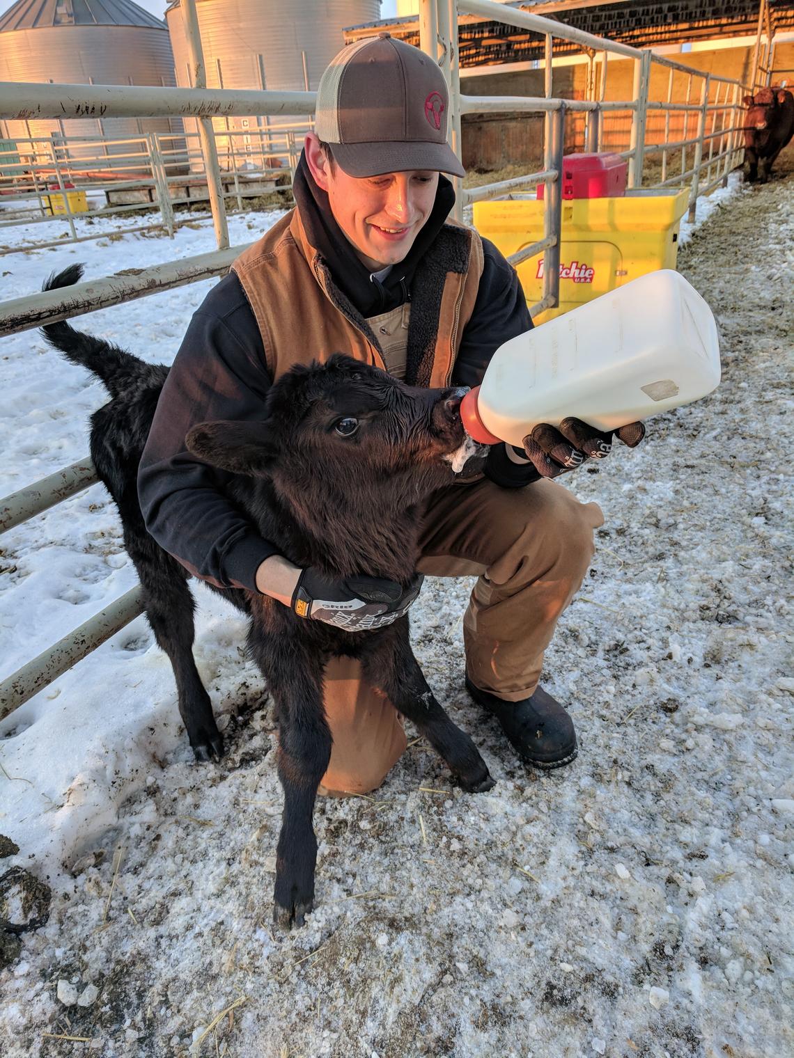 Erik Burow, University of Calgary Veterinary Medicine Class of 2019, credits great mentors for fuelling his interest in cattle health.