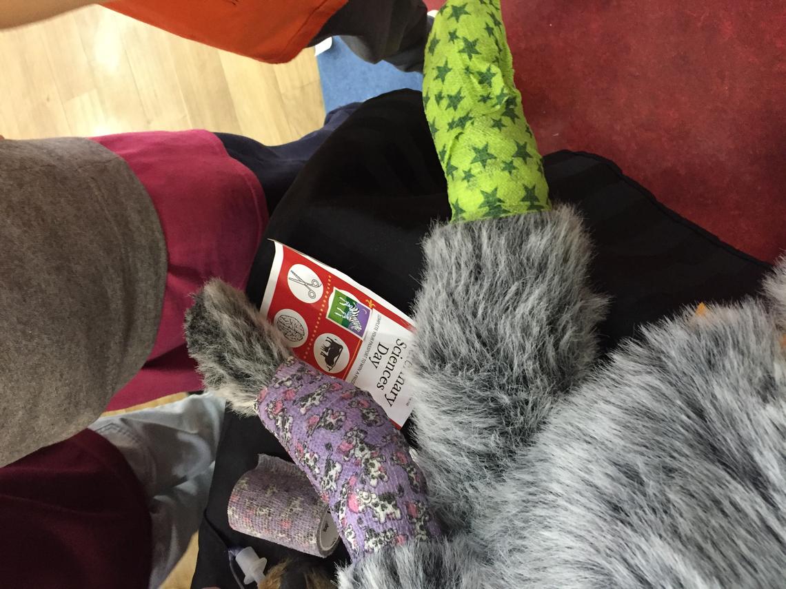 Bandaging the leg of a simulator dog, or 'Sûga' in the Stoney Nakoda language, was one of the activities for kids at a Veterinary Sciences Day at Nakoda Elementary School.  