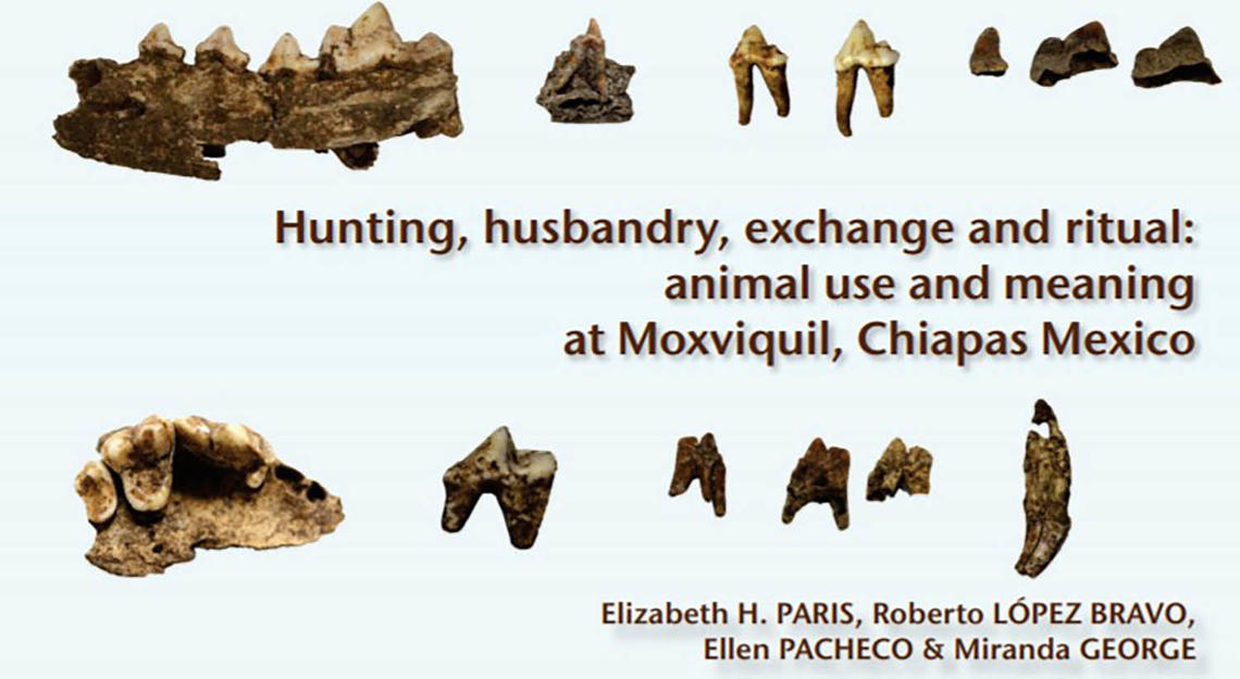 Hunting, Husbandry, Exchange and Ritual: Animal Use and Meaning at  Moxviquil, Chiapas Mexico.” | News | University of Calgary