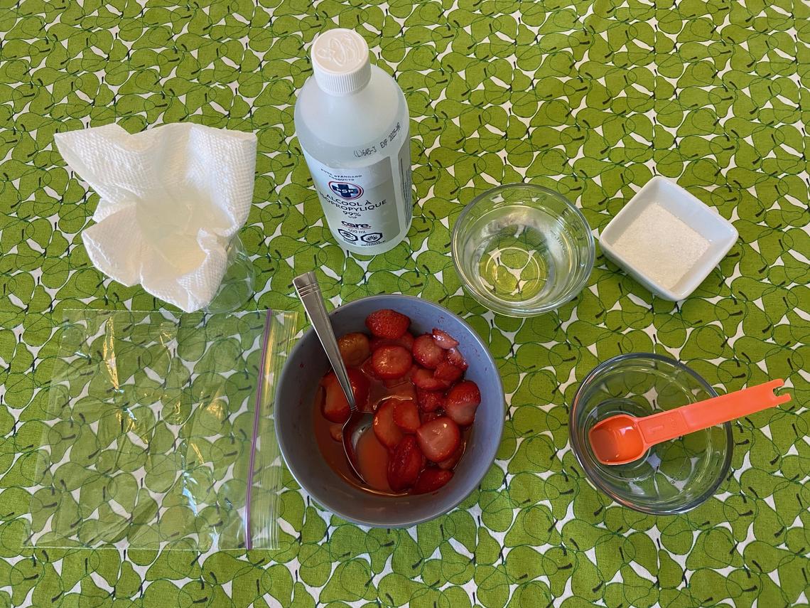 How to extract DNA from strawberries