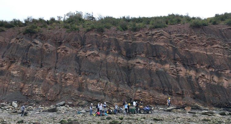 Photograph of an excavation team led by Hillary Maddin and Arjan Mann at the Joggins Fossil Cliffs
