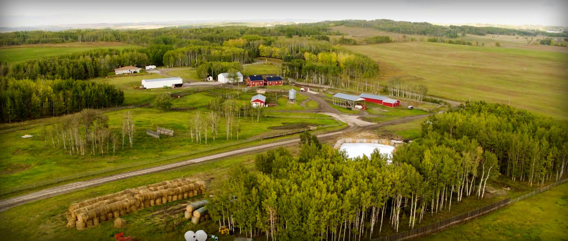 W.A. Ranches, is a 19,000-acre, 1000-head working cattle operation near Cochrane