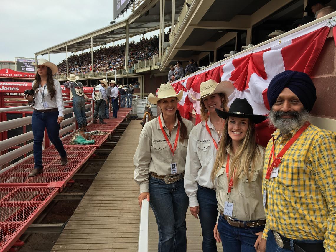 Dean Singh chats with members of the Vet Med research group studying the effect of shade on bulls performing at the Calgary Stampede. From left: Jennifer Pearson, Anneliese Heinric, and Alycia Webster.