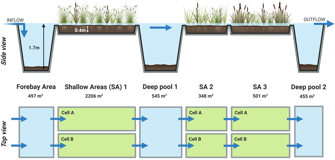 Schematic diagram of the pilot constructed wetland treatment system. 