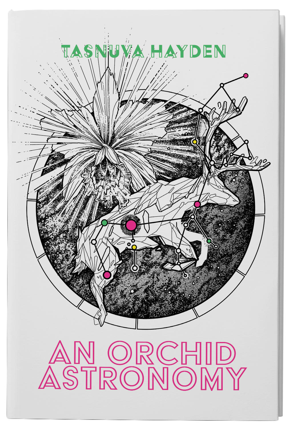 An Orchid Astronomy