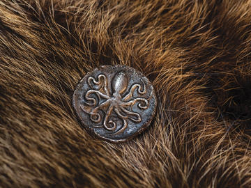 Nickle Galleries: Featured in Money Zoo. Ancient Greek octopus coin from the 4th century BCE Sicily on a beaver pelt.