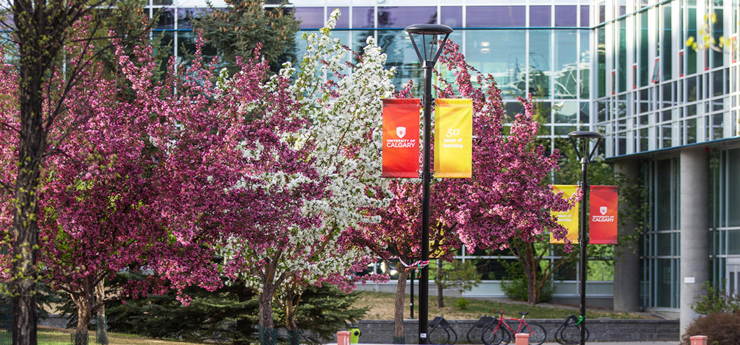University of Calgary a global intellectual hub