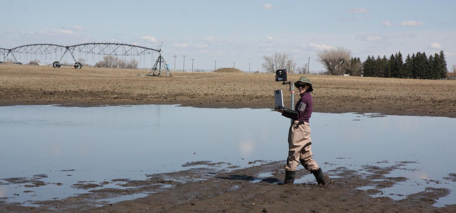 UCalgary hydrology grad student Alex Hughes wades through the mud to download water measurements to her laptop at a GRIP field site in a pond, or depression, in a farmer’s field outside of Lethbridge on April 23.