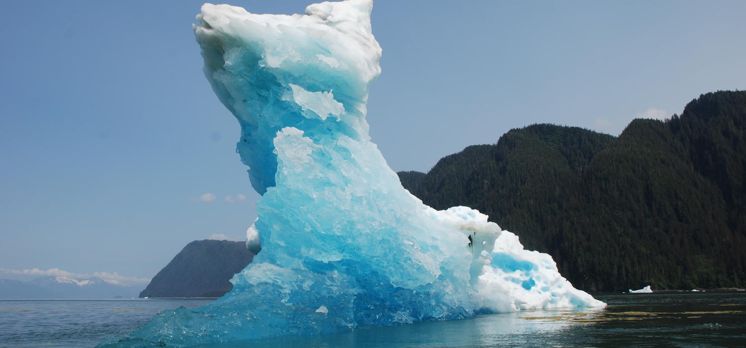 Talia Wells - Iceberg 
