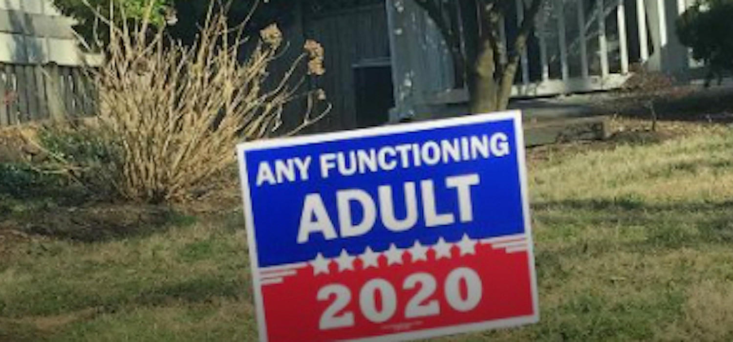 Election lawn sign