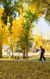 Fall means the beginning of a new academic year, but it can also mean a fresh approach to your career.