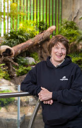 Sandie Black, clinical associate professor in the University of Calgary's Faculty of Veterinary Medicine and head of Veterinary Services at the Calgary Zoo, and Doug Whiteside, clinical associate professor in the Faculty of Veterinary Medicine and senior staff veterinarian at the Calgary Zoo, work with the recently arrived panda bears.