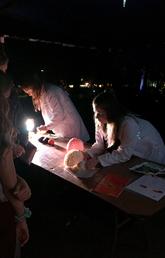 UCalgary students and researchers share insights into the brain, human and otherwise, at Beakerhead