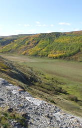 Pine Coulee, AB