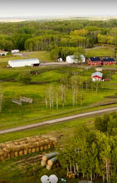 W.A. Ranches, is a 19,000-acre, 1000-head working cattle operation near Cochrane