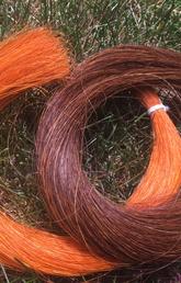 coloured horse hair