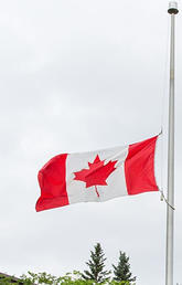 waving Canadian flag