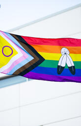The LGBTQ flag