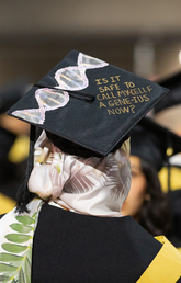 university graduation cap