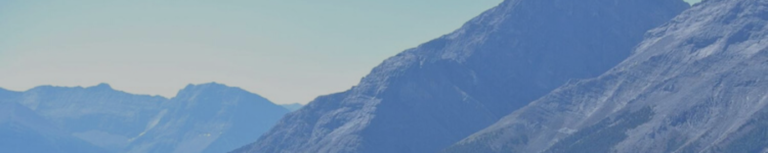 Internationalize your degree