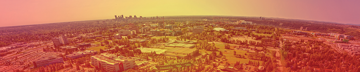 Photo of city as seen from a drone