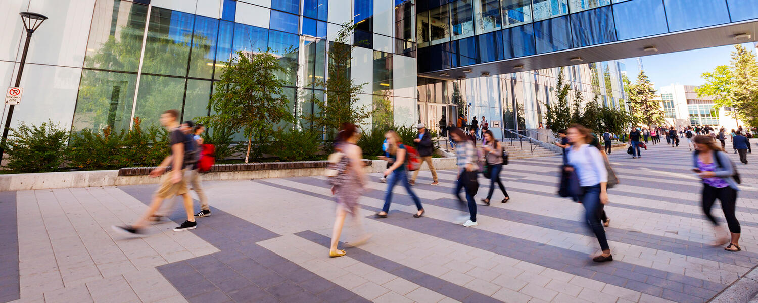 Taylor Family Digital Library