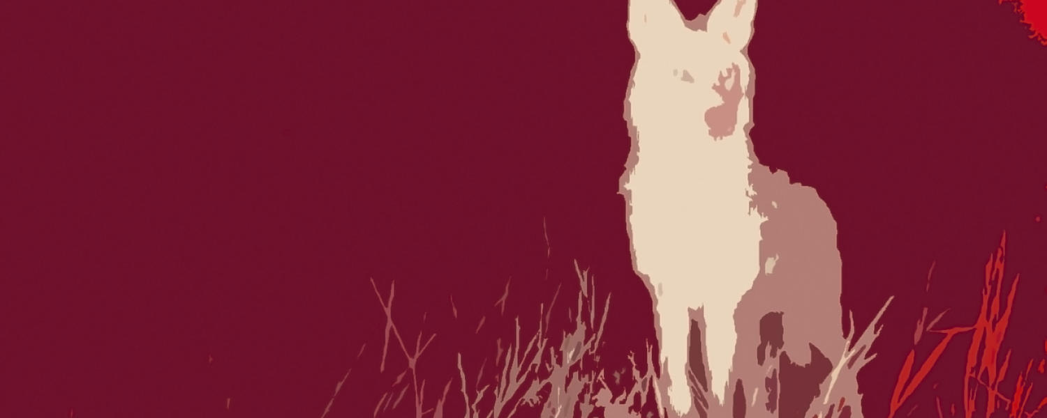 A graphic of a coyote standing with a red background 