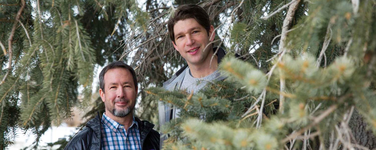 Geography researchers stand in a grove of trees