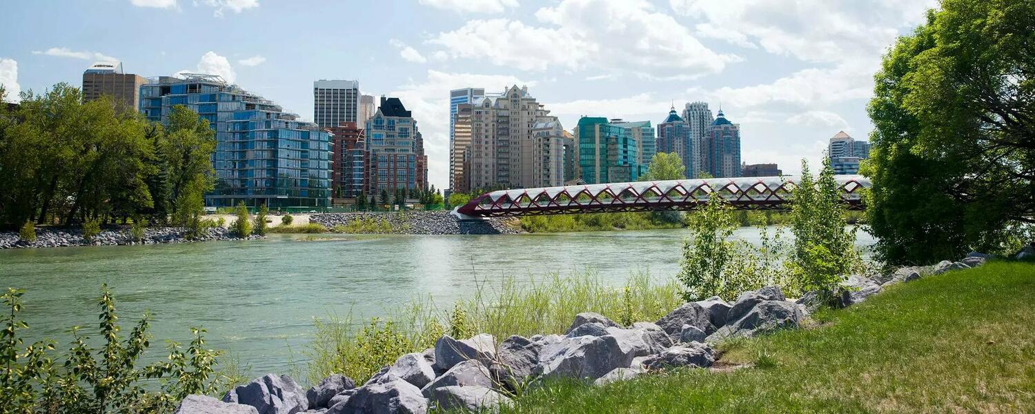 Peace Bridge in Calgary