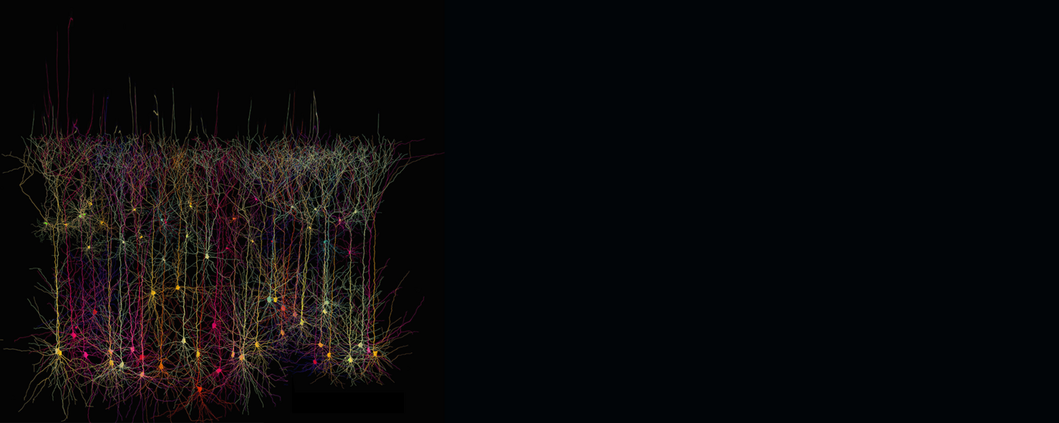 Graphic of Neurons