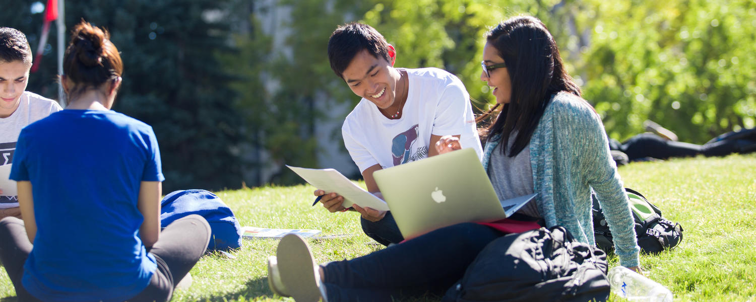 Students chat on the lawn in summer