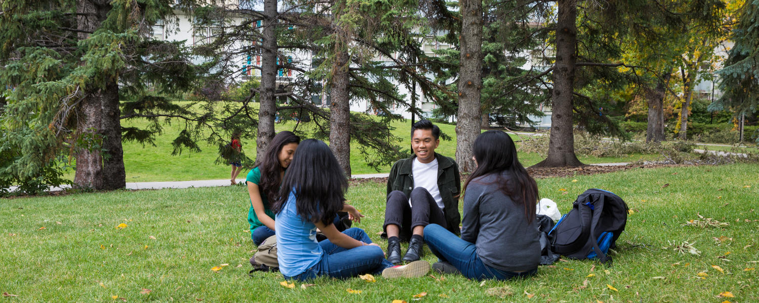 A group of students is seated on a lawn on a sunny day.