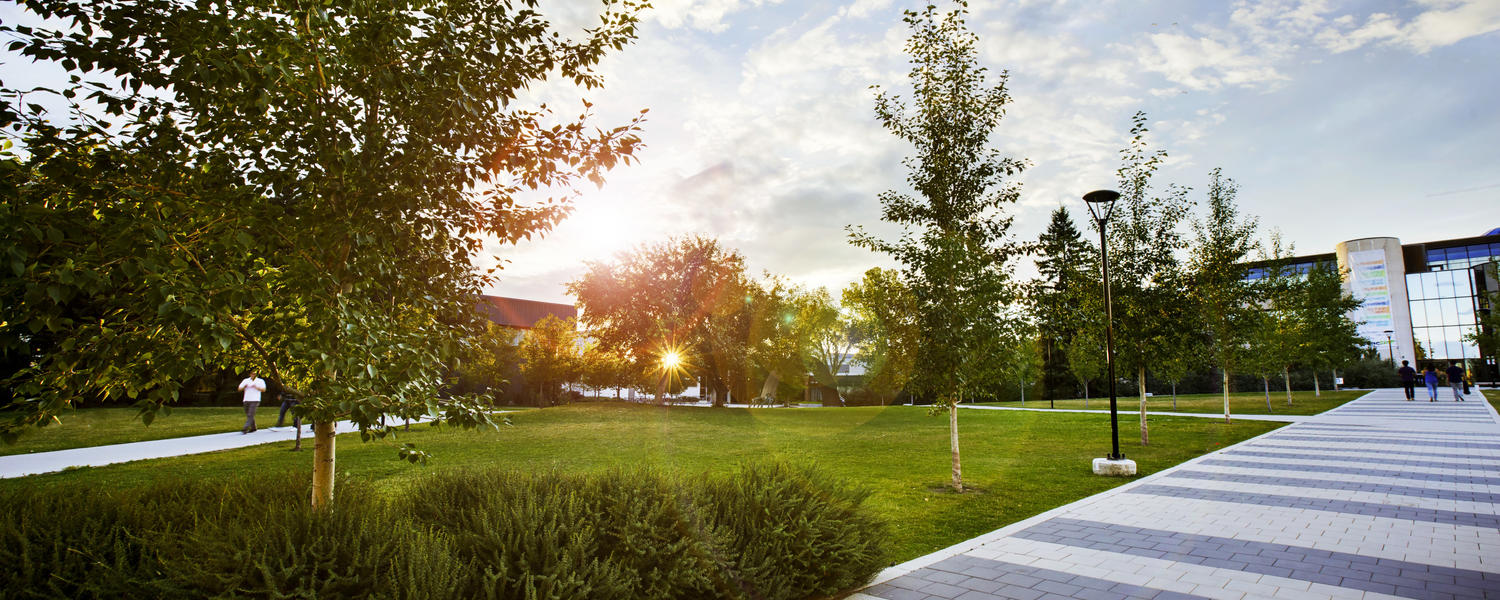 Vibrant UCalgary campus at sunset