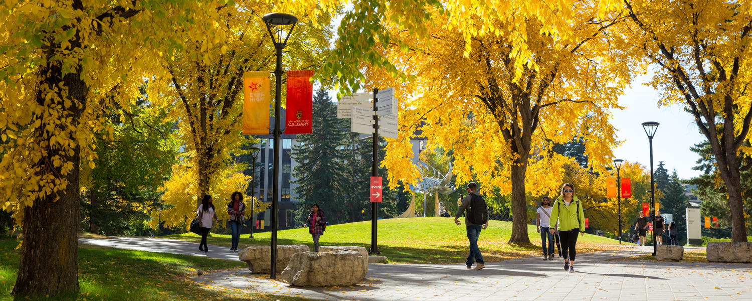A pathway on campus in fall. The leaves are turning golden yellow.