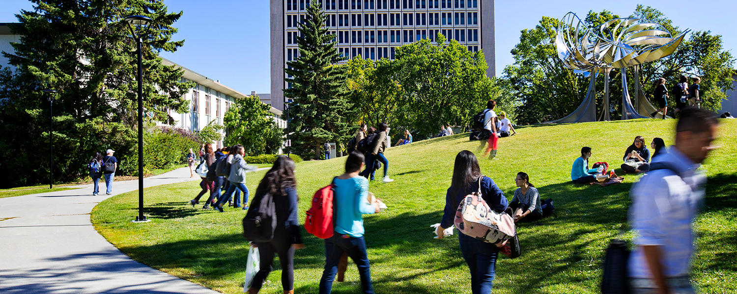 UCalgary Campus in the Summer