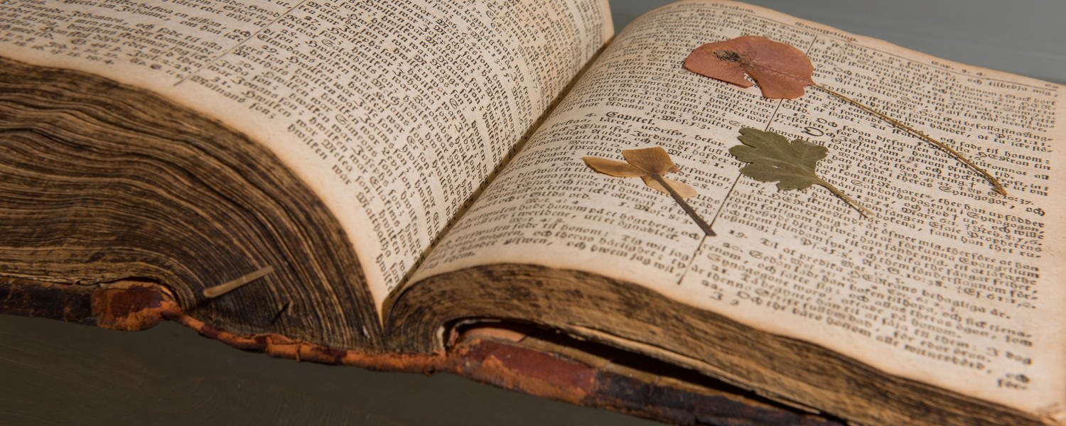 University of alberta creative writing image