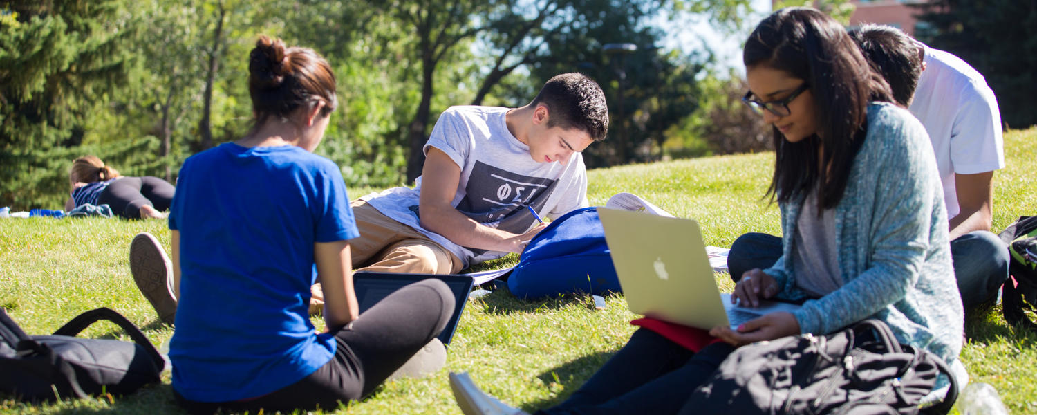 Current students overview