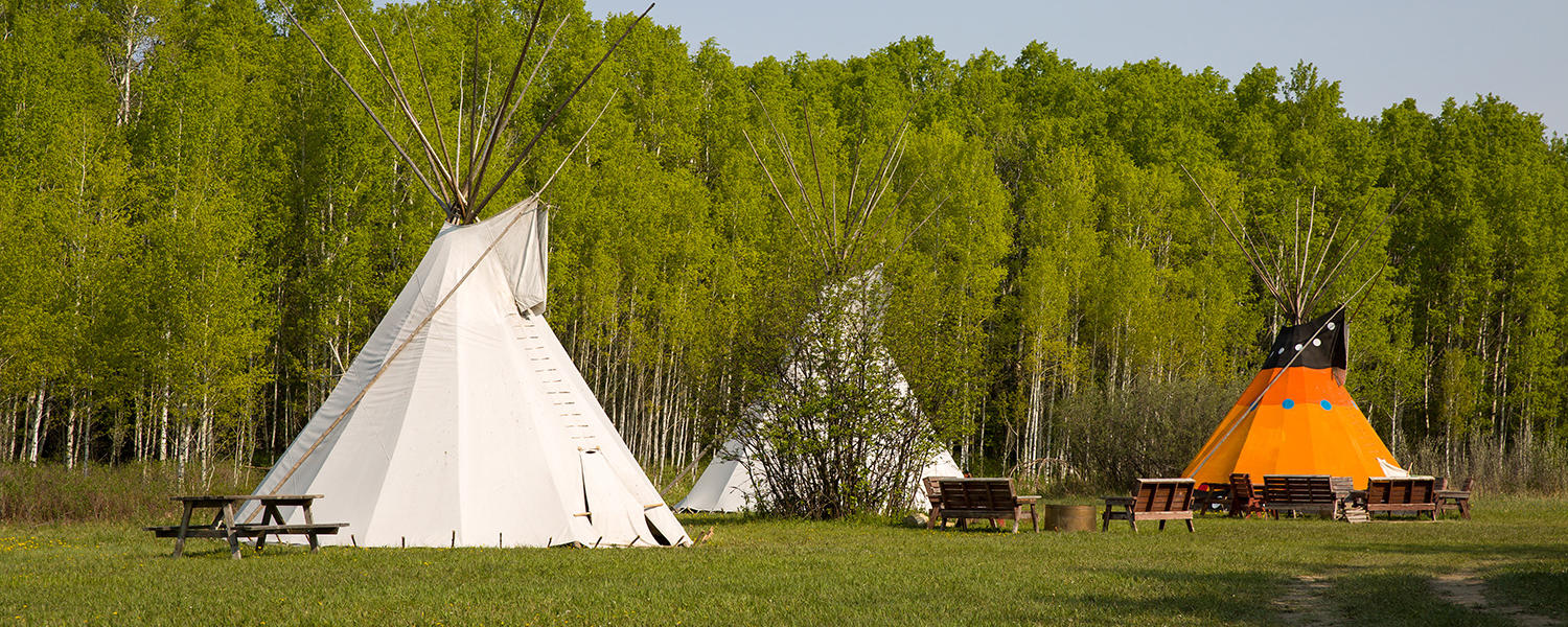 The Cluny Fortified Village site