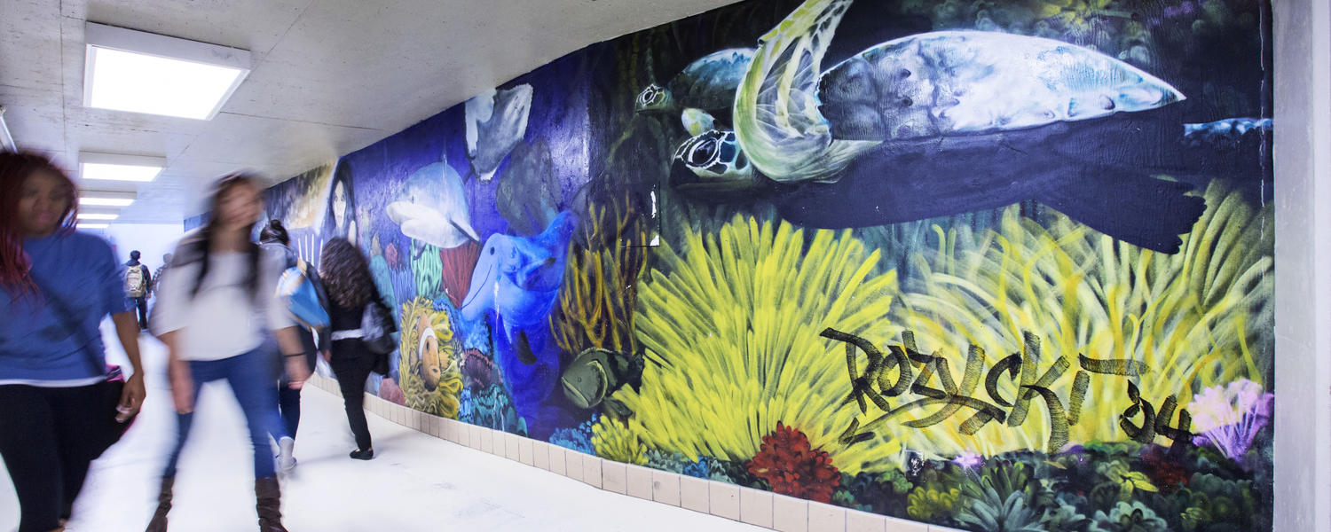 Chair in Communication and Media Studies