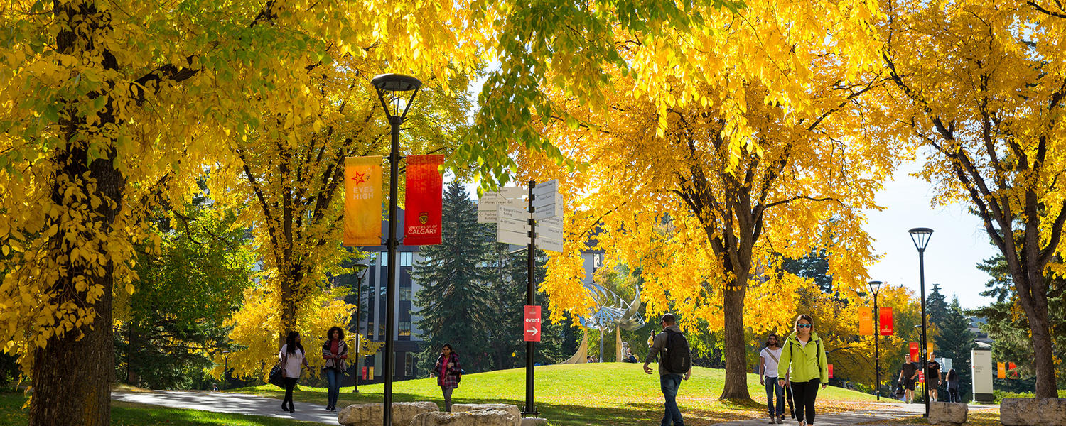 UCalgary in the Fall