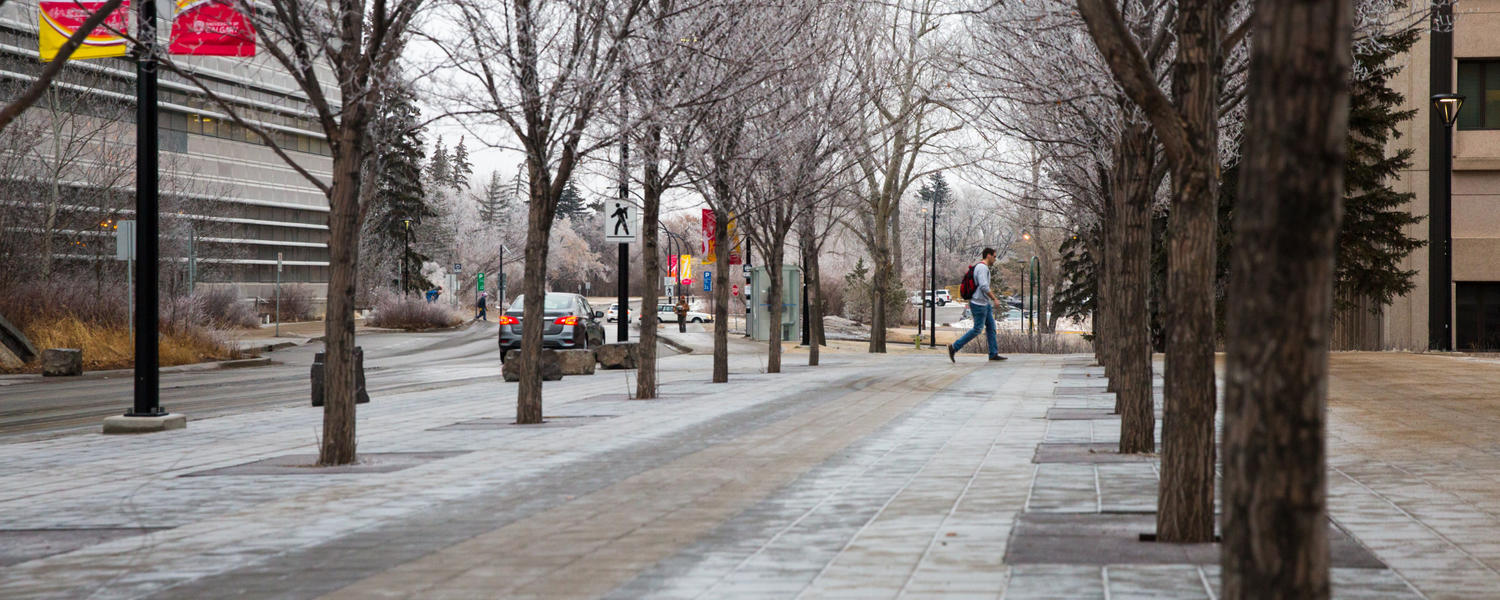 Winter campus