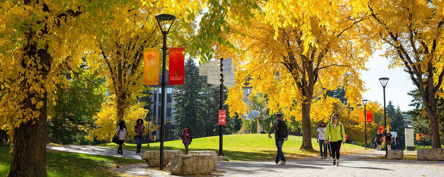 UCalgary campus in autumn