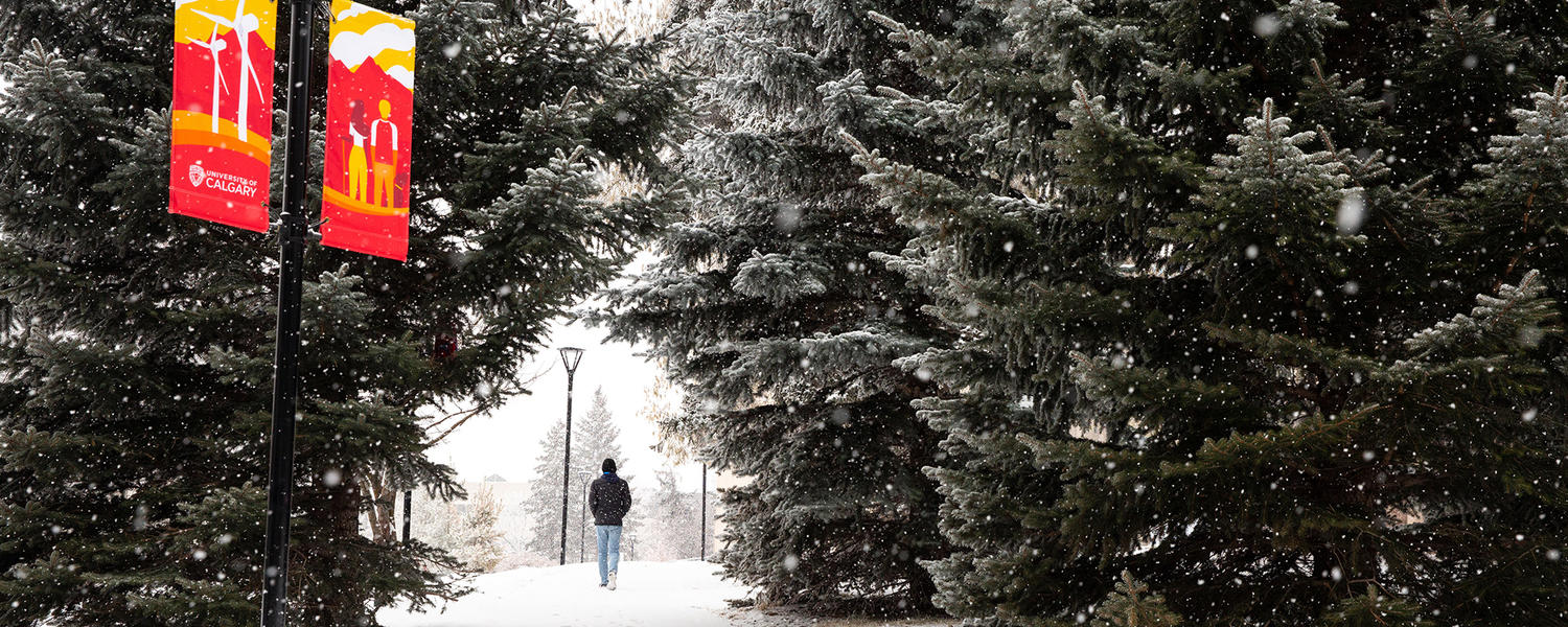 Student walking down a snowy path