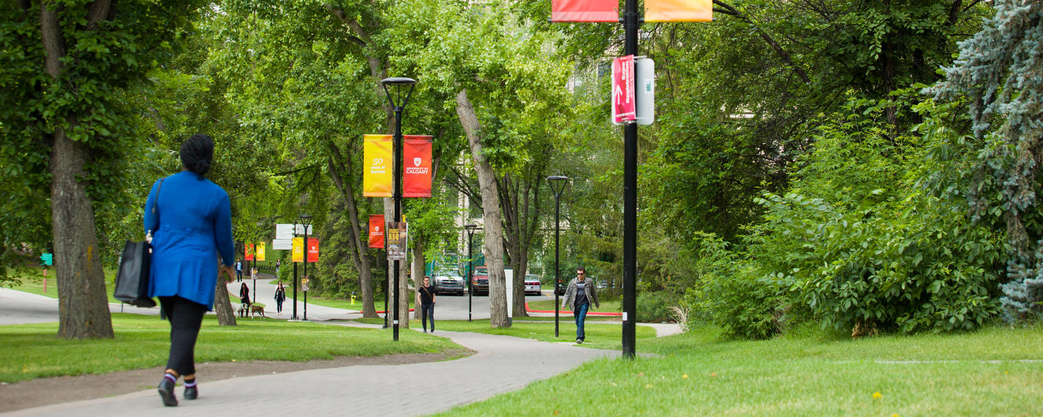 Summer campus photo