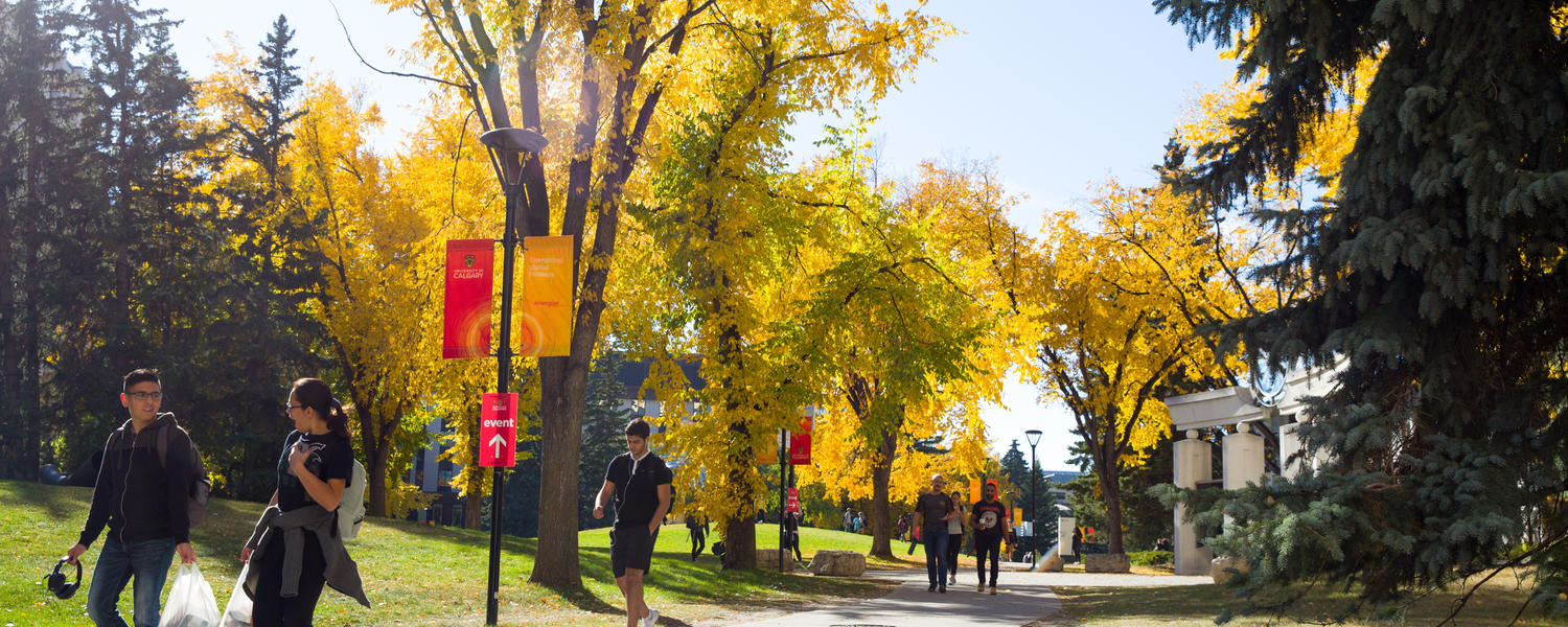 Fall campus